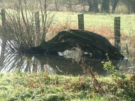 Duisburg-Walsum : Rheinaue Walsum